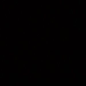 Meet your Posher, Anny